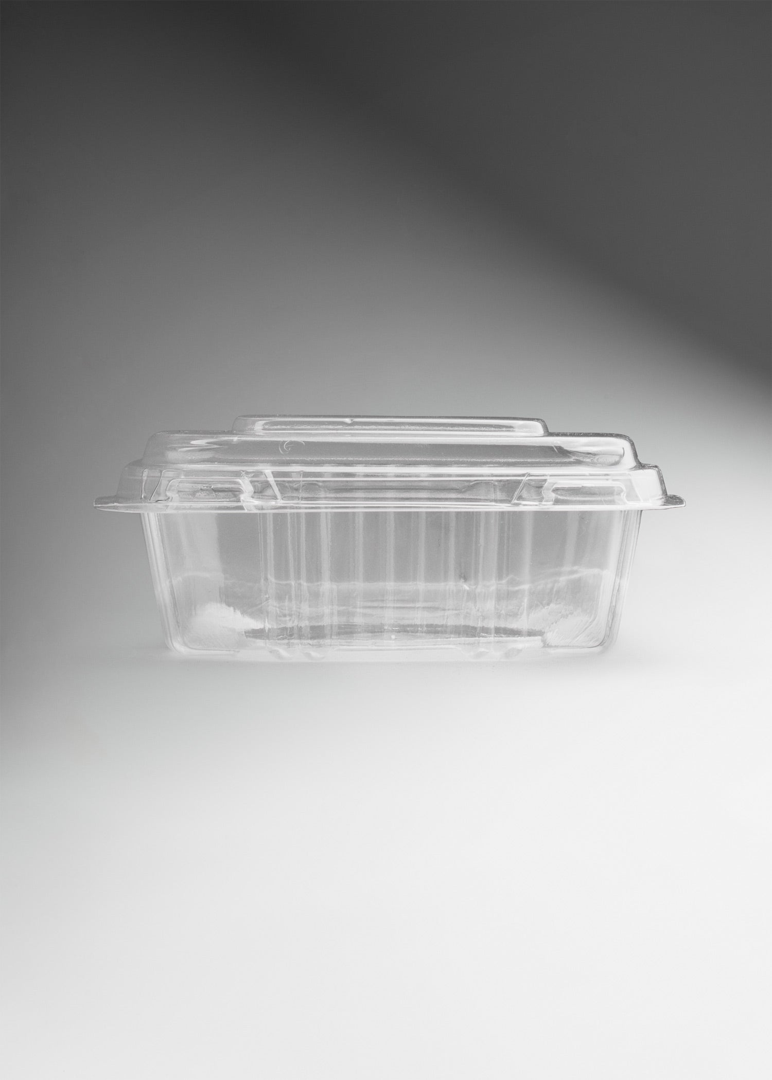 precio contenedor de comida maha