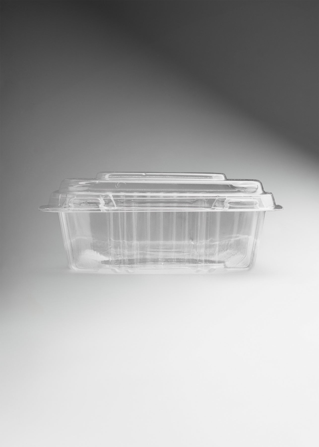 precio contenedor de comida maha