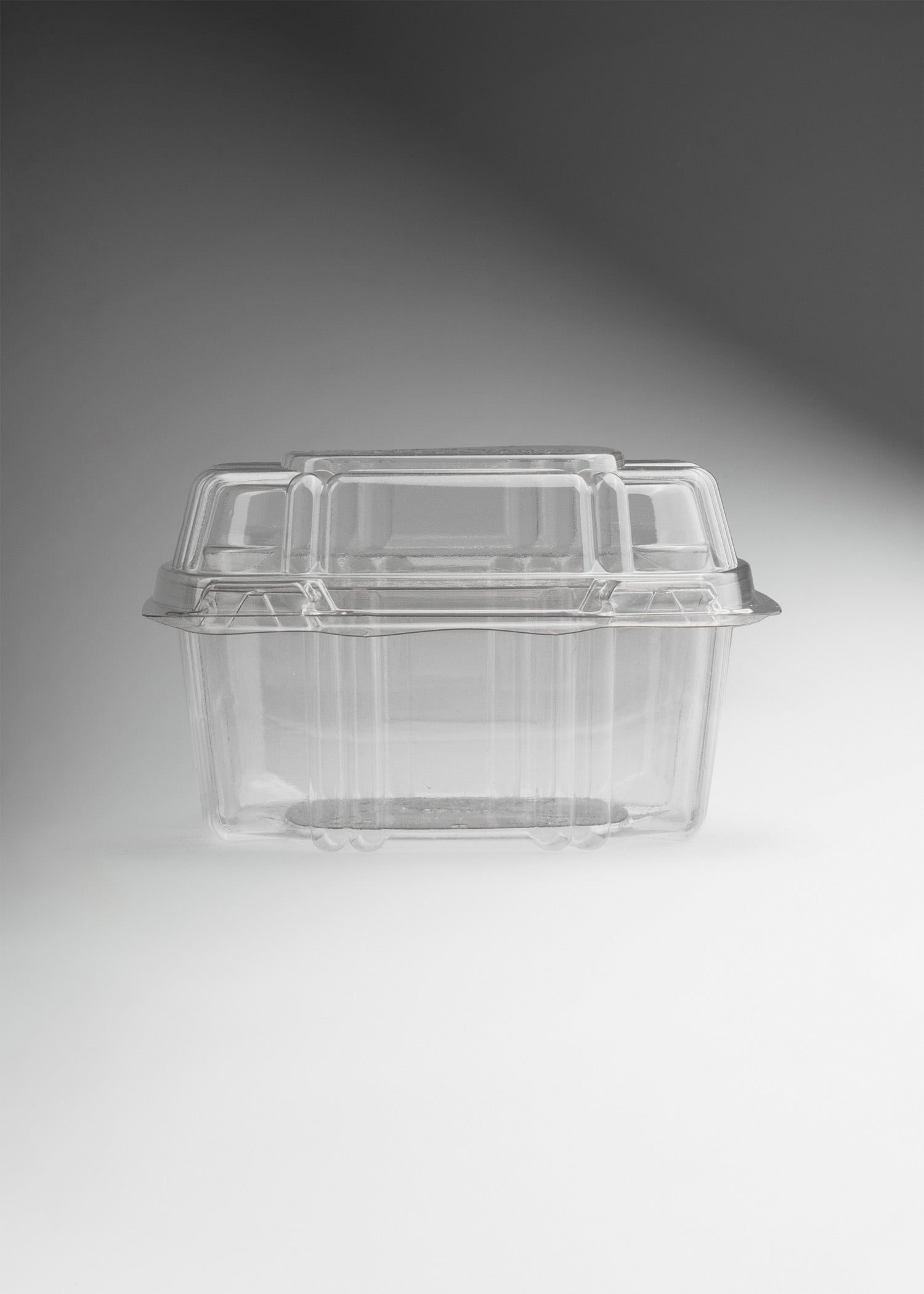 precio contenedor de comida maha