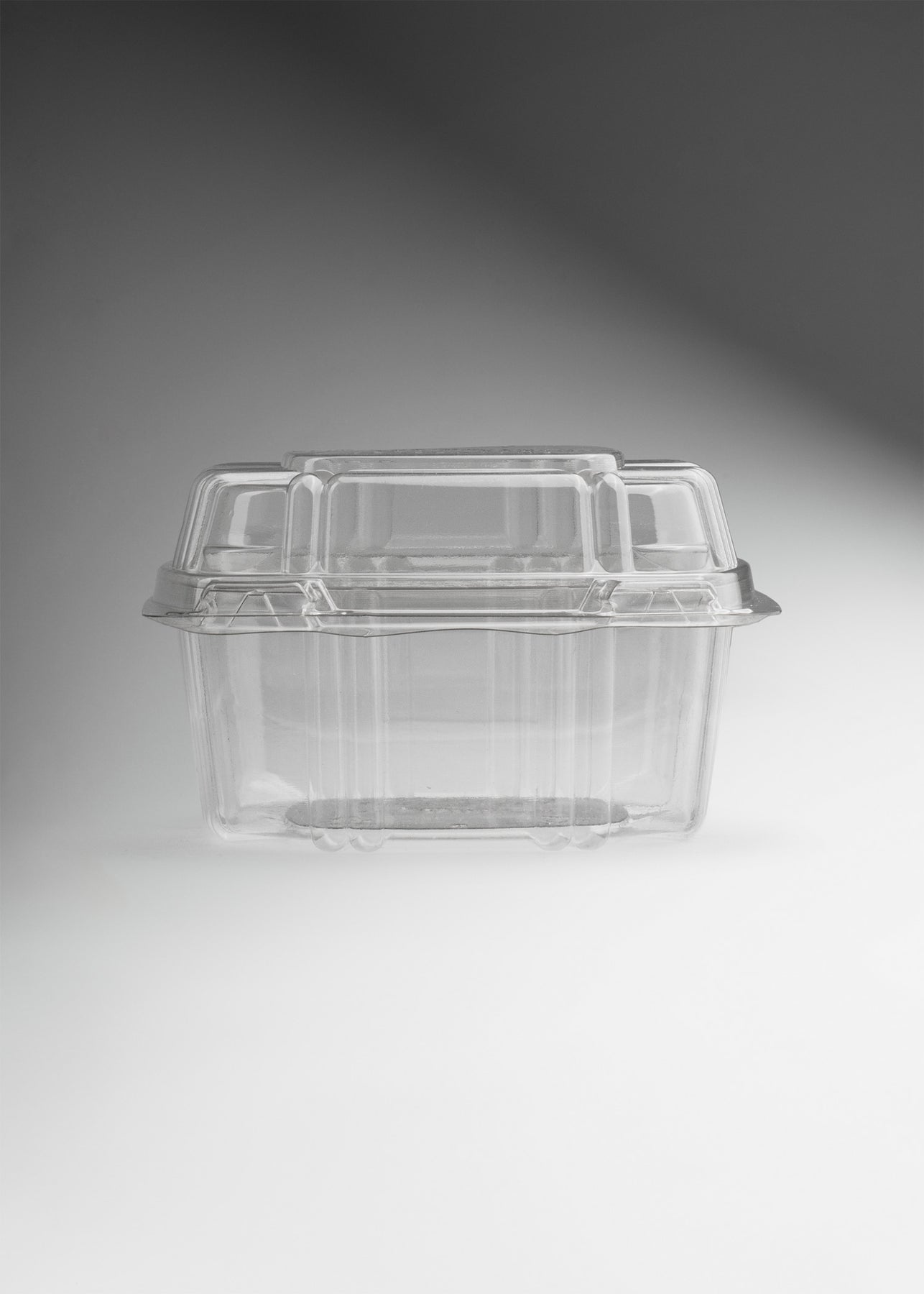 precio contenedor de comida maha