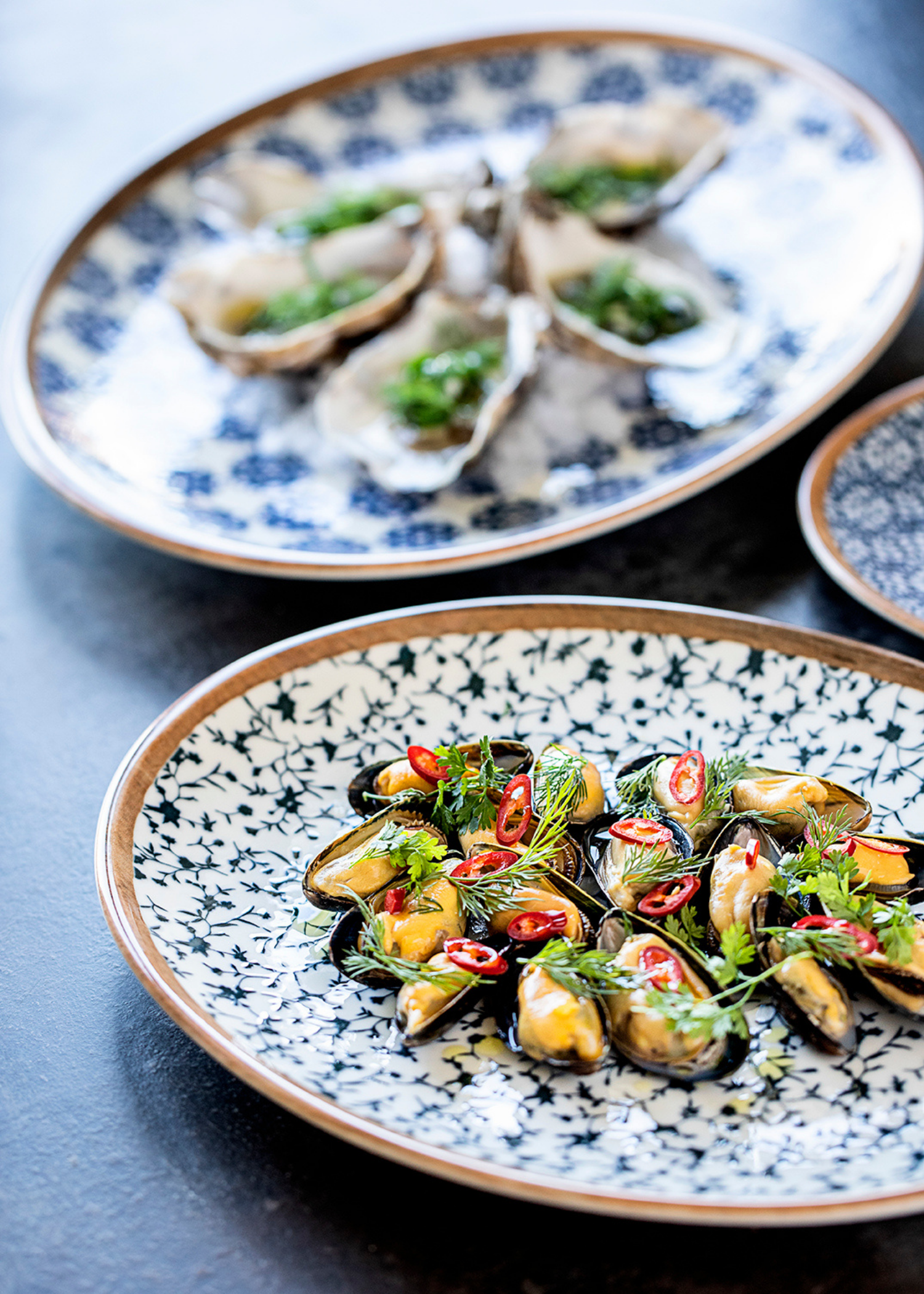 uso platos porcelana alta resistencia