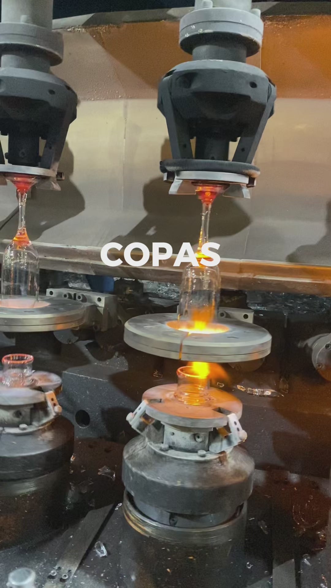 video coleccón copas calif maha