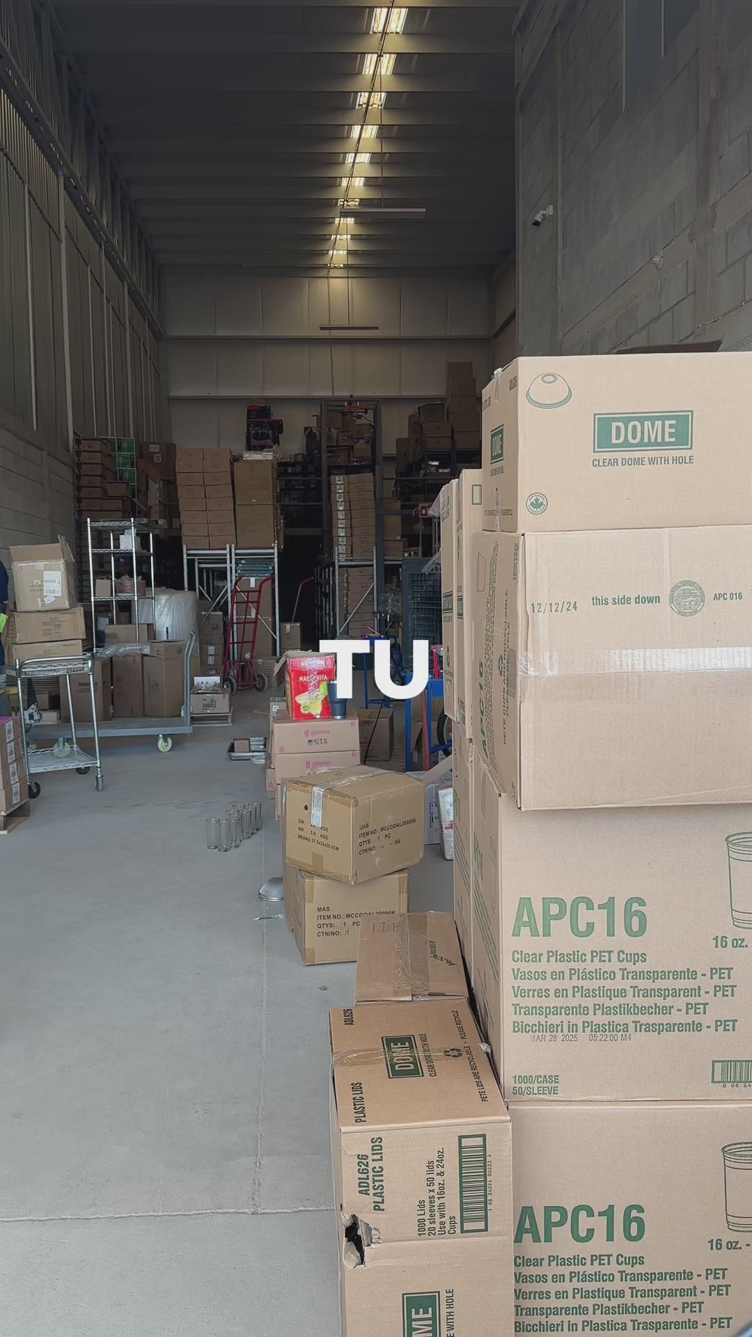 Platos de porcelana azul Efeso