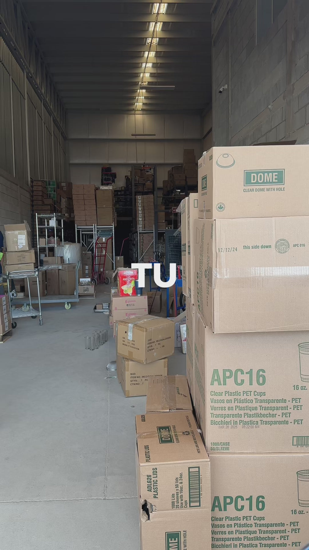 Platos de porcelana azul Efeso