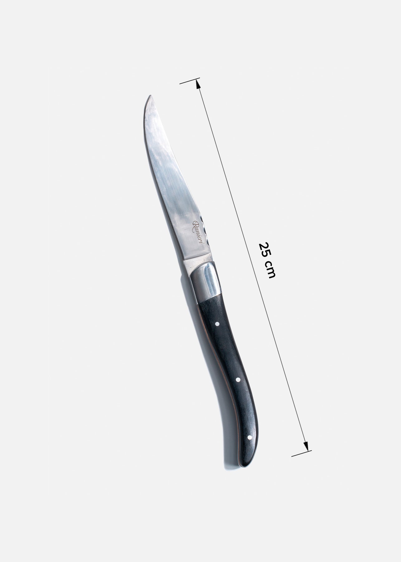 Cuchillo de acero inoxidable para carne plateado Patagonia 10". Premium