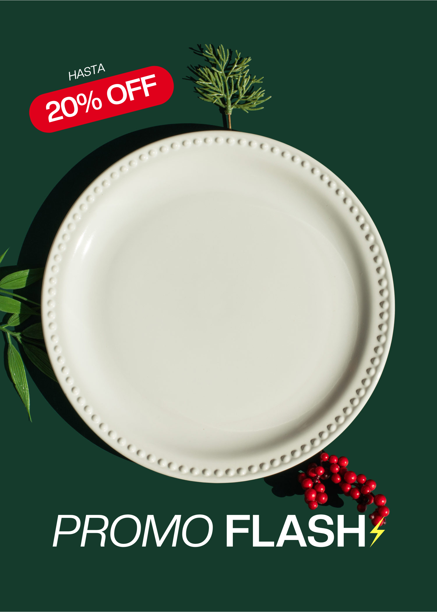 Platos de cerámica blanco Monet