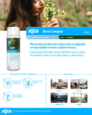 Aerosol profesional neutralizador de olores aire limpio aroma Alpino para baños, oficinas y restaurantes 220 gr