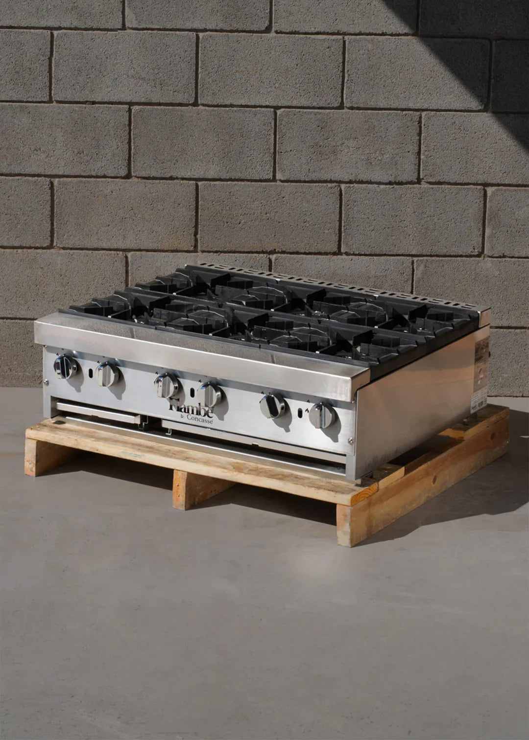 Parrilla de acero inoxidable con 6 quemadores gas LP