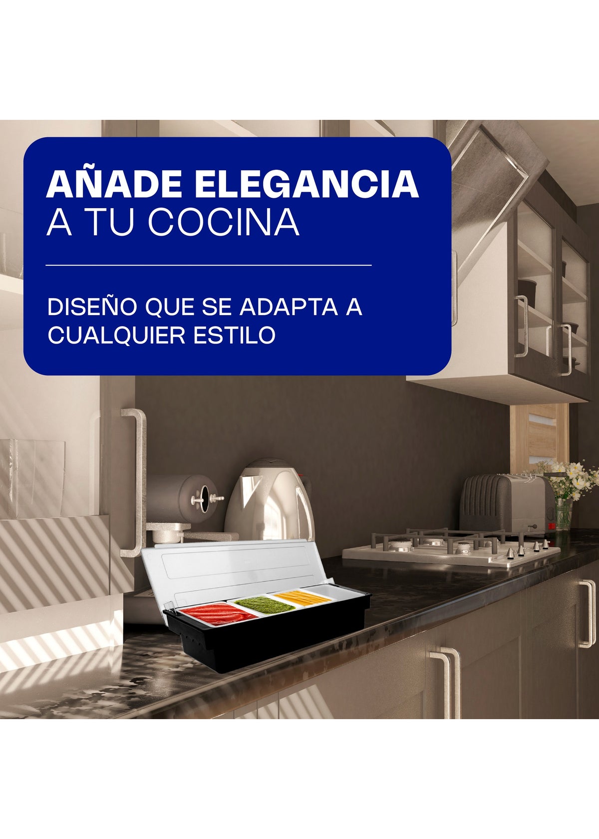 Caja para condimentos de plástico con tapa de acrílico 52x51x23 cm