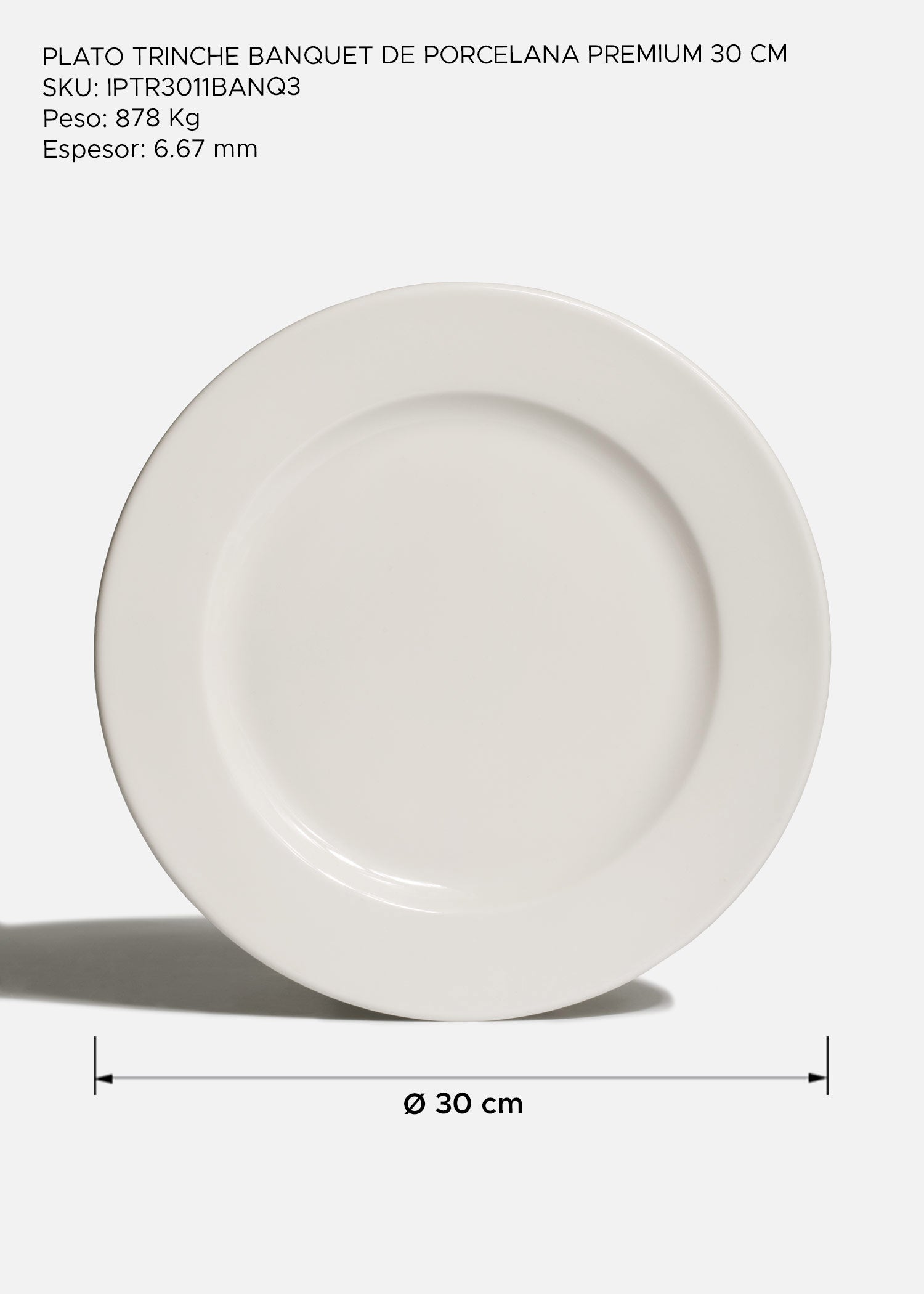 Plato Banquet de porcelana blanca con ala ancha