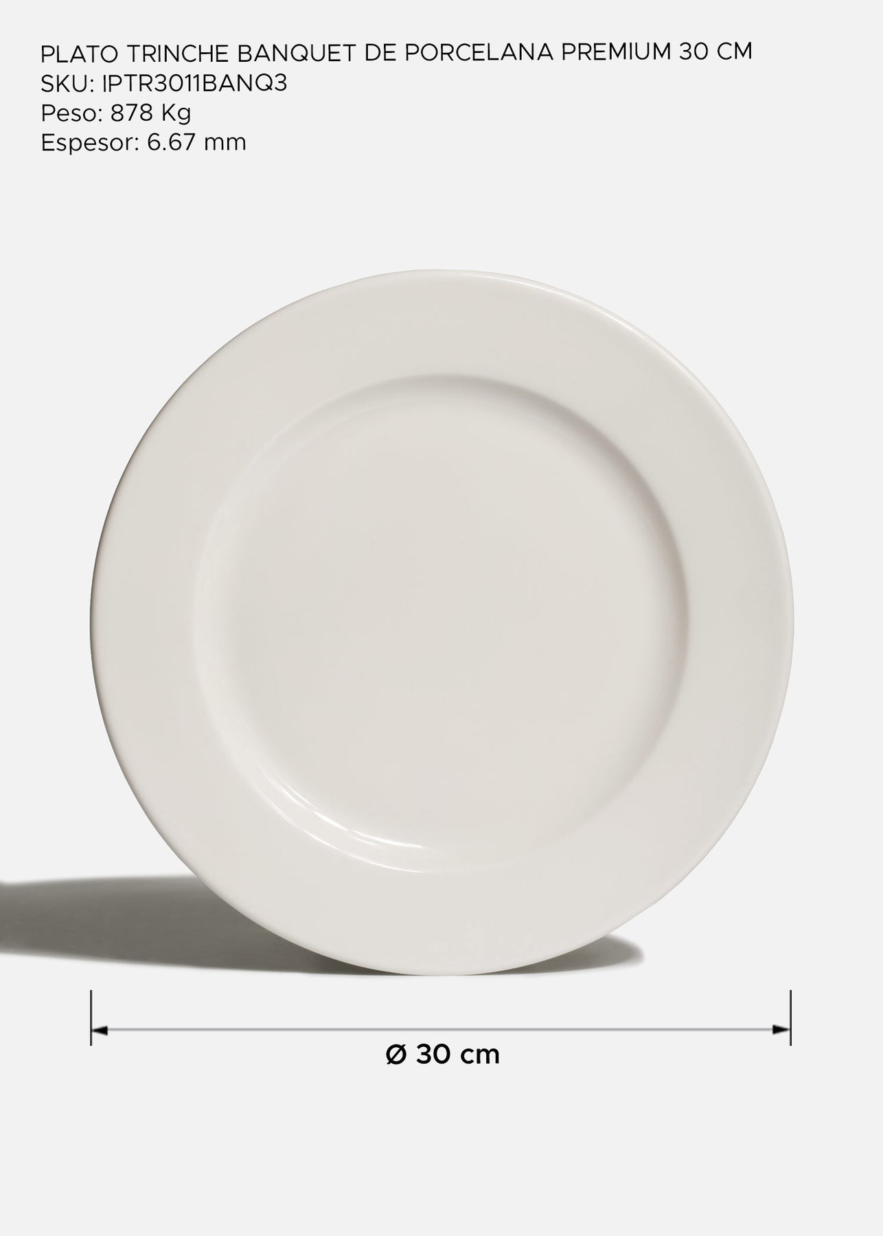 Plato Banquet de porcelana blanca con ala ancha