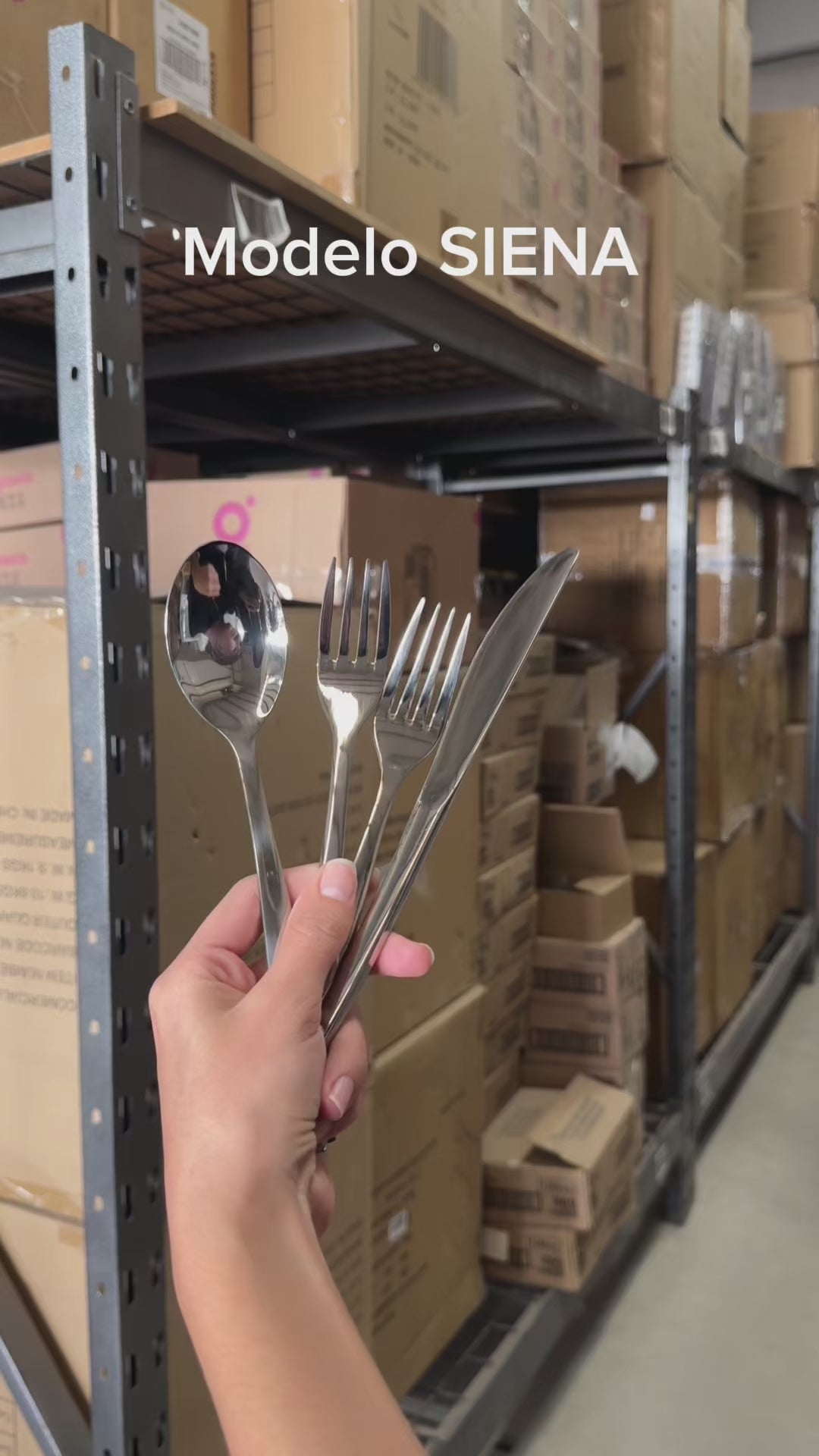 Cargar vídeo: Cubiertos de mesa de acero inoxidable plateados Siena