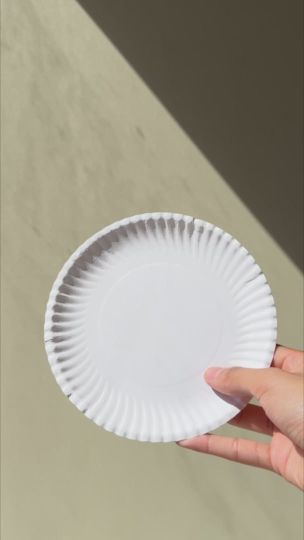 video detalles plato desechable maha