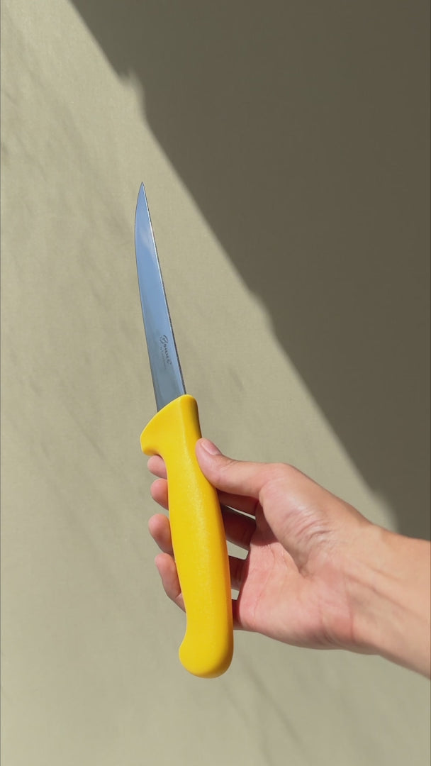 Cargar vídeo: Cuchillo para deshuesar recto profesional de acero inoxidable con mango antideslizante rojo, verde, blanco, negro, amarillo y azul  6". Premium