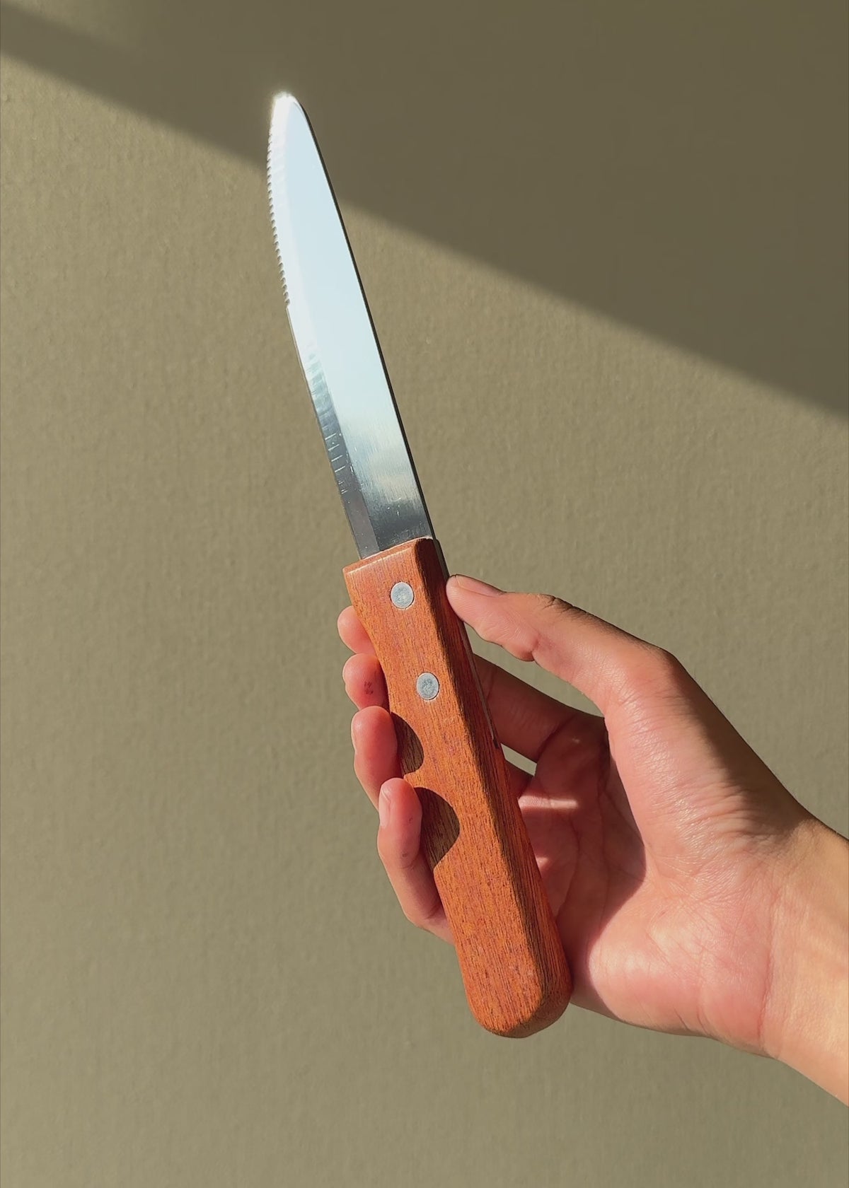 Cargar vídeo: Cuchillo de mesa de acero inoxidable con mango de madera café de 25.5 cm mostrado con luz natural.