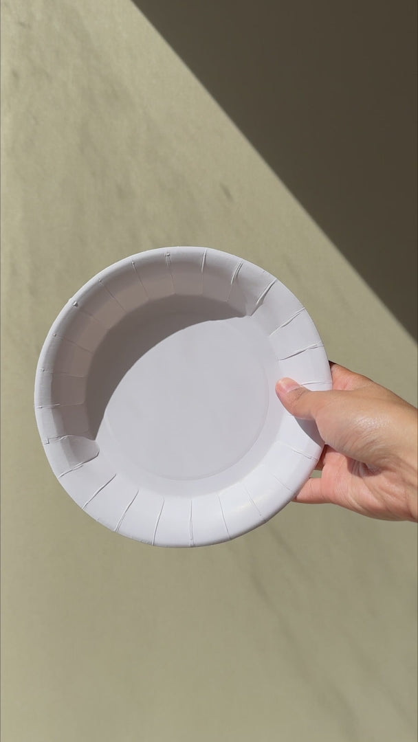 video detalles plato desechable maha