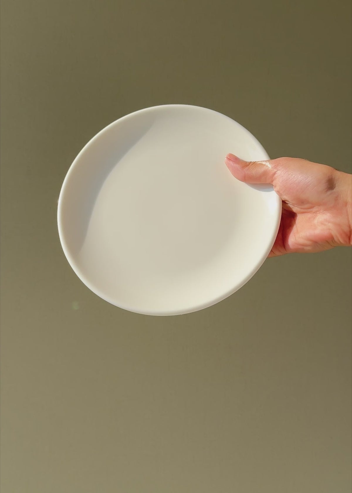 Cargar vídeo: Video demostrativo de plato de porcelana para servicio profesional