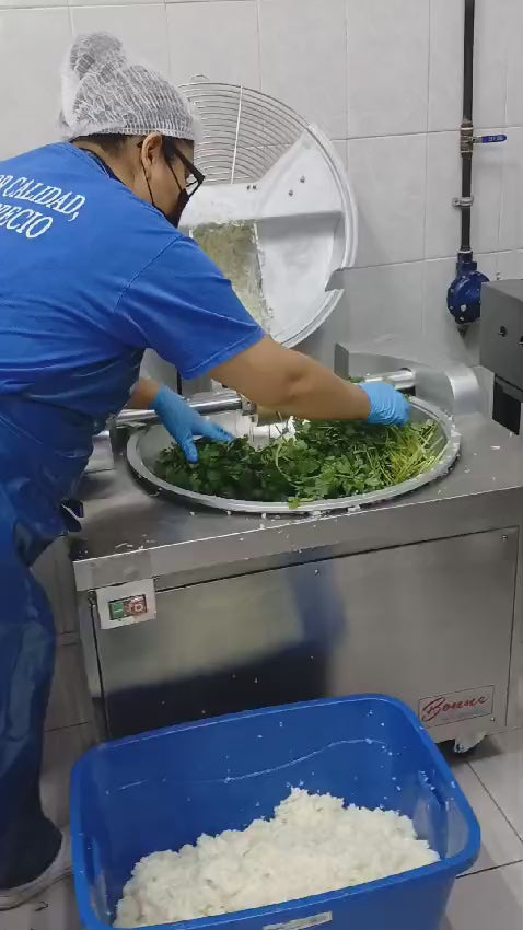 Cargar vídeo: MAQUINA CORTADORA CARNE Y VEGETALES DE PISO GABINETE 10 KG