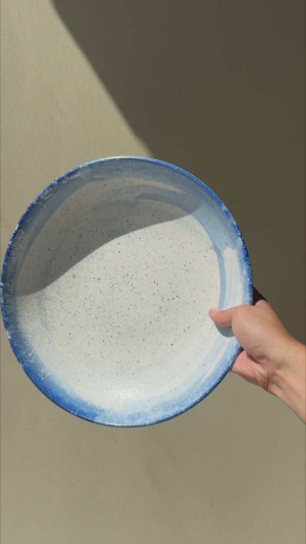 Video del perfil bajo y borde azul del tazón Harena Bloom