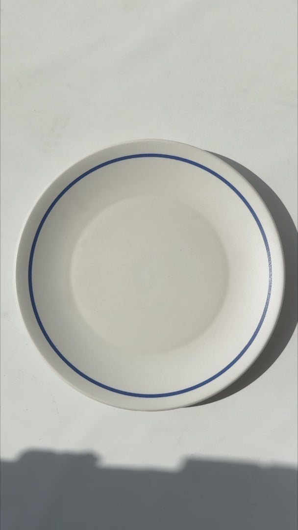 Cargar vídeo: Video del plato trinche Regina Alaska blanco filo azul Ø 28 cm