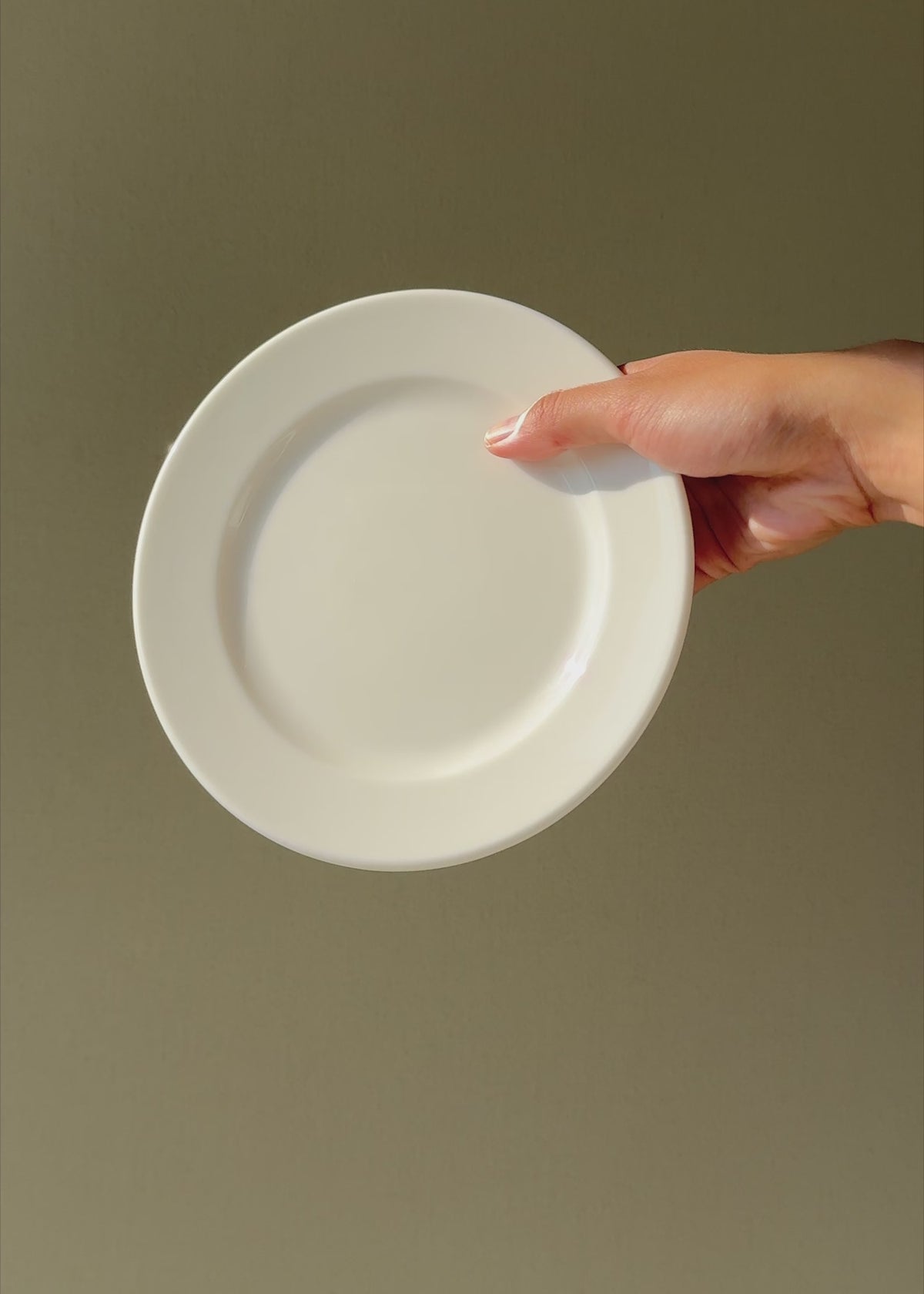 Cargar vídeo: Video demostrativo de plato de porcelana para servicio profesional