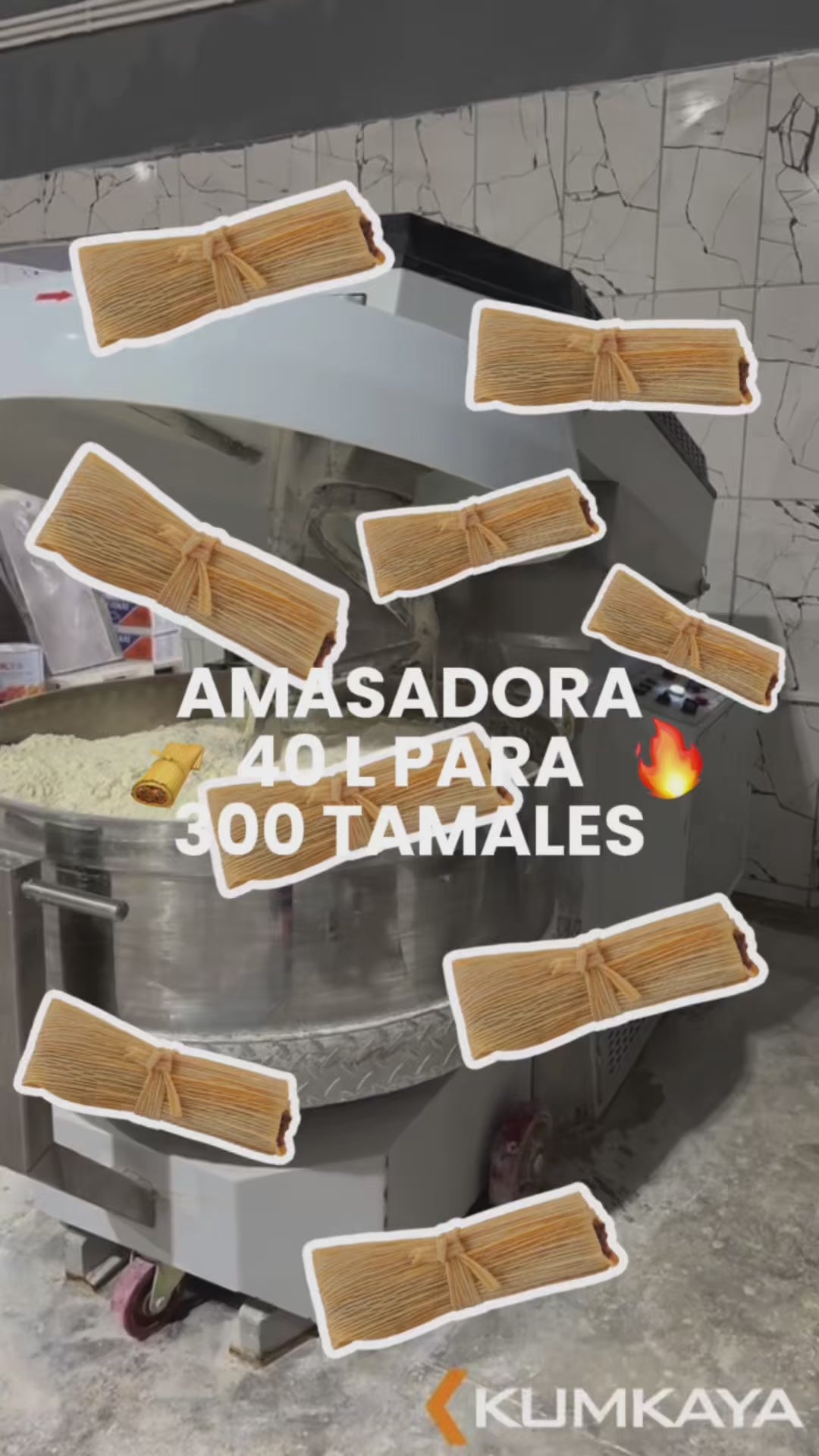 Cargar vídeo: Amasadora doble acción giratoria de acero inoxidable 40 L volumen 15 kg capacidad