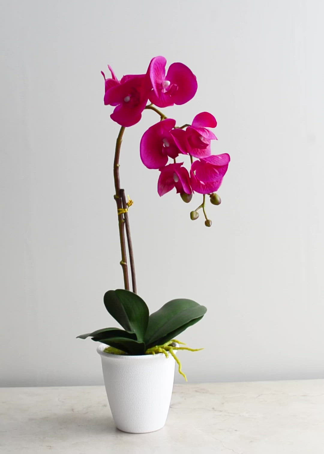 Orquídea artificial de plástico rosa Bulbophyllum 48 cm 1 pz