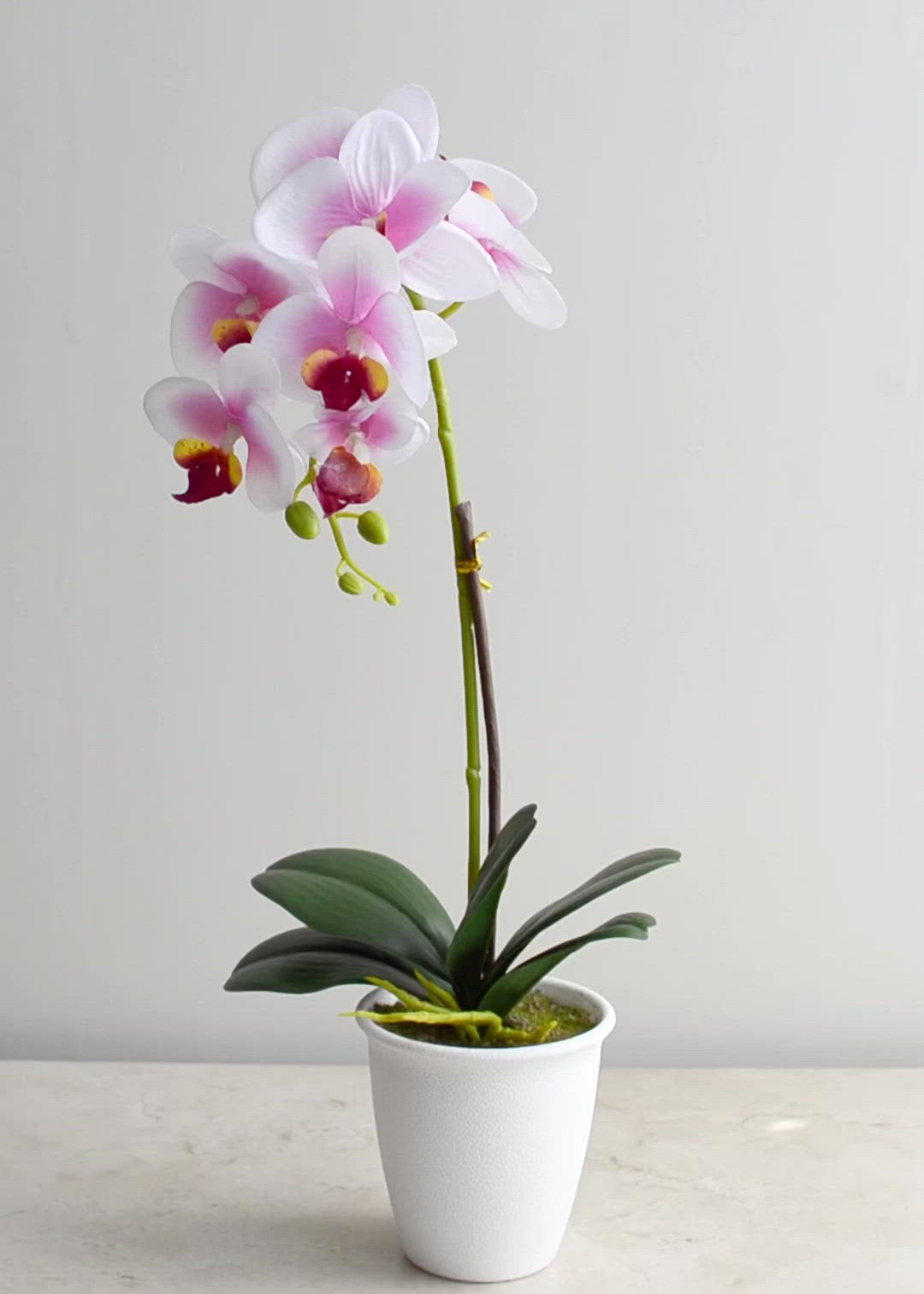 Orquídea artificial de plástico blanca y rosa Bulbophyllum 48 cm 1 pz